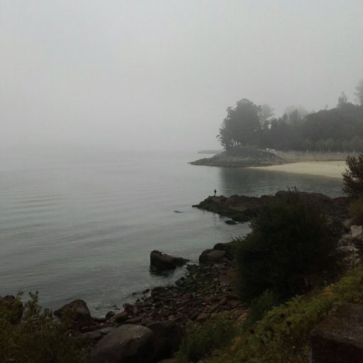 maria_herves's profile picture. Profesora  de Lingua galega en Meaño