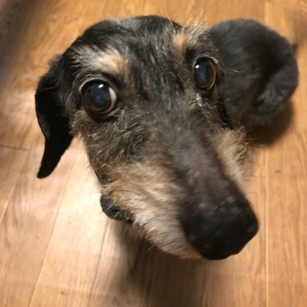 soichiro1014's profile picture. 大教大池田/履正社/明星/大阪府立大学 応生　アーチェリー部　56代主将 /マーベリック/駅探