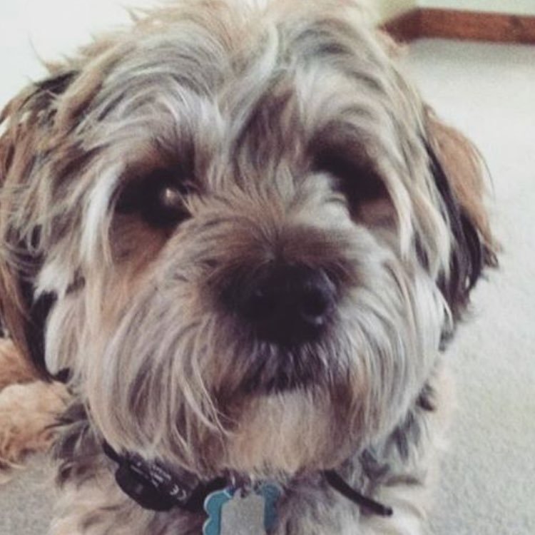 becc_005's profile picture. I probably like guacamole more than I like you