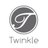 Twinkle_model