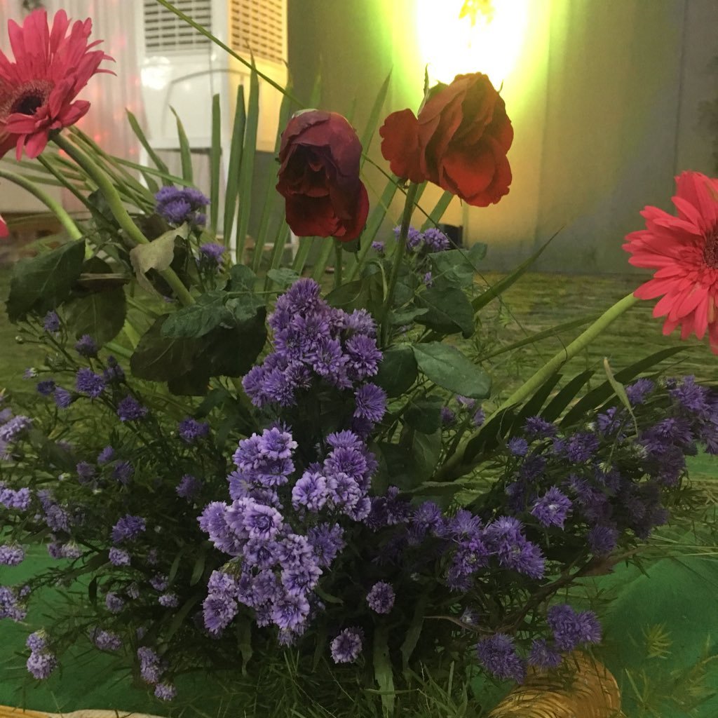 Chitra41301256's profile picture. 