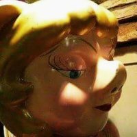 副隊長 (@kisuke_kss) 's Twitter Profile