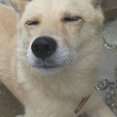 てりぃ ゆかどぅか
