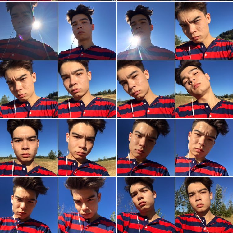 toyamallama's profile picture. ah fuck.