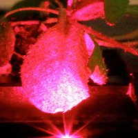 Giraldo Lab (@jpgiraldolab) 's Twitter Profile Photo Giraldo Lab (@jpgiraldolab) 's Twitter Profile Photo