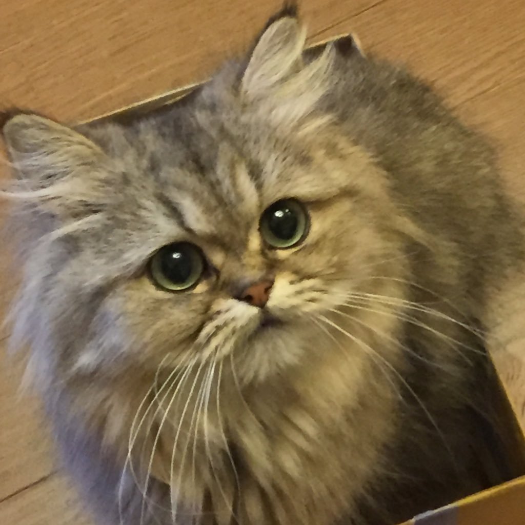 sakenzz's profile picture. 株主優待とふるさと納税が好きなサラリーマン📈 株主優待で生活費を抑え、 浮いたお金で月イチの国内旅行を楽しんでます✈️ 史跡・博物館・美術館・寺社巡りが趣味！ 備忘録のため綴るアカウント📝 DMはごめんなさい、基本お返事できません