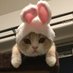 あかり★猫好き (@goux1588) Twitter profile photo