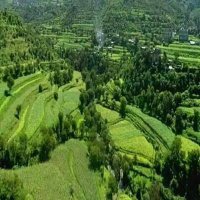 ابو عبدالعزيز بن عبدالرحمن (@muneershujaa) Twitter profile photo