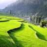 vvsoft's profile picture. IT professional | Freelancer | Article writer | Passionate about Pakistan | Admire Pakistan Armed Forces professionalism  | Like nature, Travelling and tweeting
