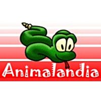 Animalandia(@Animalandia_CM) 's Twitter Profile Photo