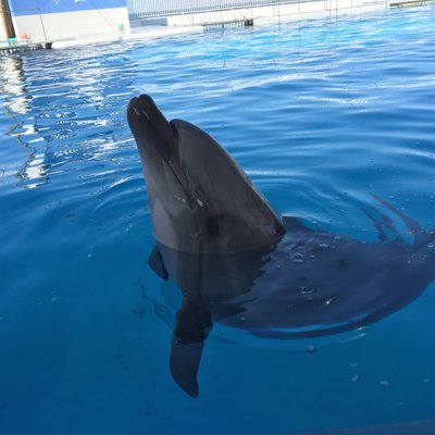 はこ