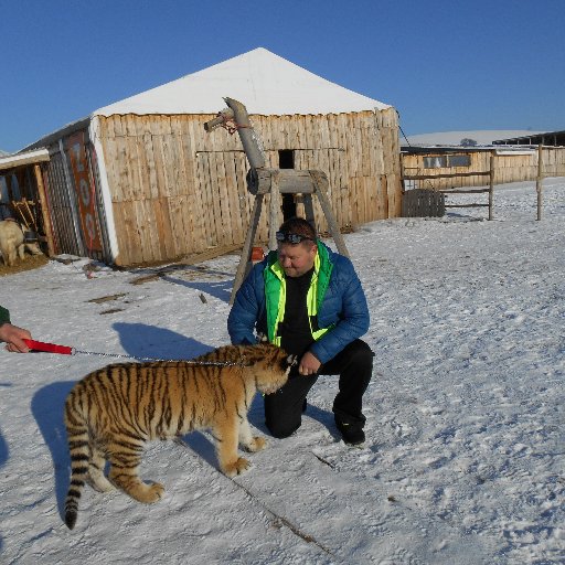 Aurelius534's profile picture. 