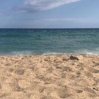 nudismo mdq (@pajamdq) 's Twitter Profile