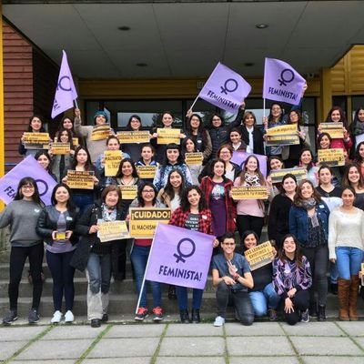 Somos parte de la Red Chilena Contra la Violencia Hacia las Mujeres en Biobío y Ñuble