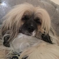 tiggs (@sunshinetiggs) 's Twitter Profile