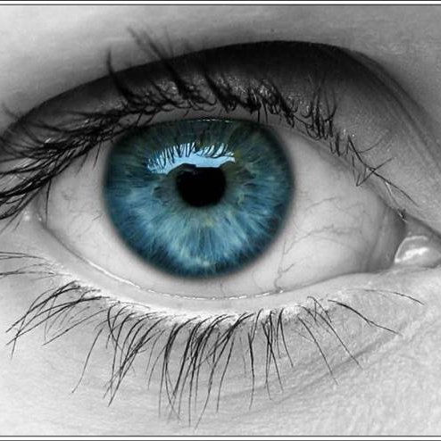 elobserva's profile picture. "No podrán matarnos. Podrán vencemos un día, pero si nos largamos a la calle, tendrán que devolvernos la libertad y la justicia”.
Evita.