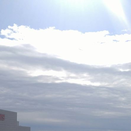 masa19911129's profile picture. 