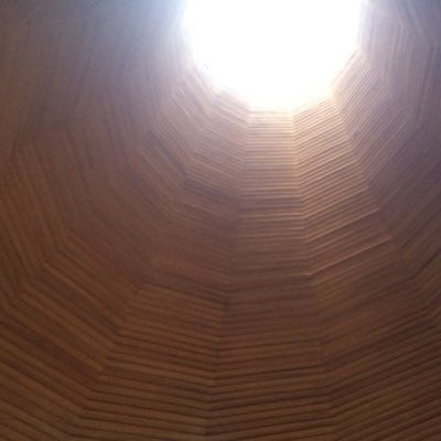 tamahime8's profile picture. 