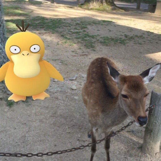 コダックんさんのプロフィール画像