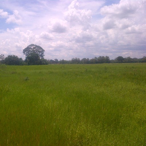 primeramente creyente en Dios, productor agricola, y humanista.