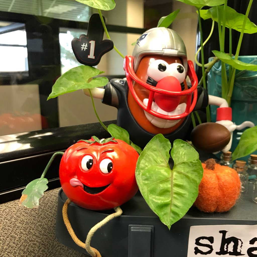 whaleyofagirl's profile picture. Fun, energetic, love life attitude. You live it once, enjoy every minute of it. Do your best, be yourself and share a smile with the world.