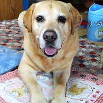 ゆりべー (@yuririnno1) / Posts / X