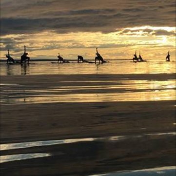 GratitudeToYou's profile picture. 