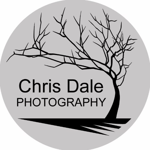 Photographer based in Nottingham, mostly found in a forest.