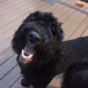 Kim Beamon - @KimBeamon - Twitter