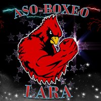 Boxeo de Lara(@Asoboxeolara) 's Twitter Profile Photo