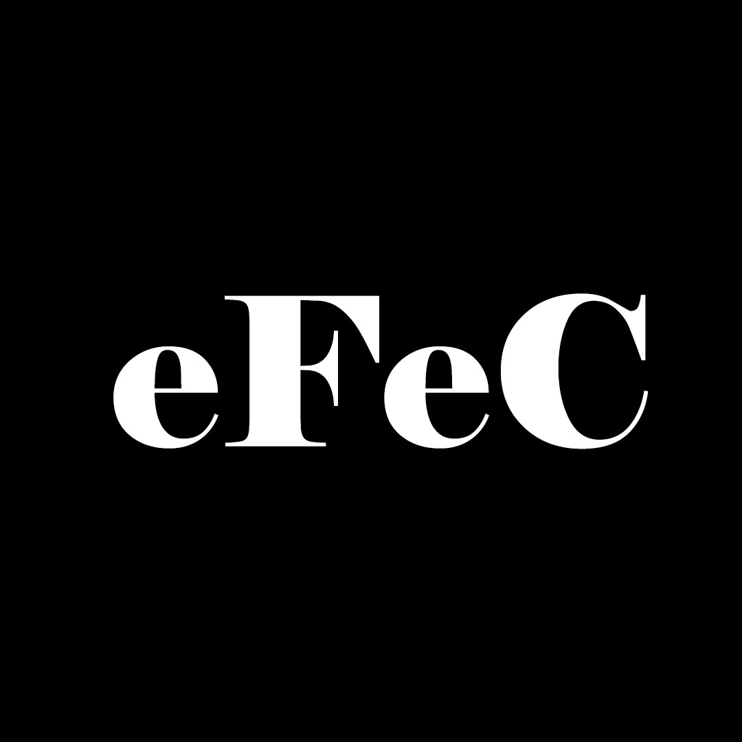 eFeC es un proyecto que busca crear un espacio en el que tengan cabida  todos aquellos artistas que no posean la infraestructura para la exposición y sus obras.