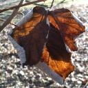 Heather Derry - @HDerry10 - Twitter