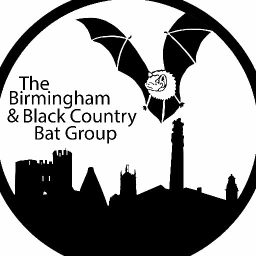 Doing bat science in Birmingham & the Black Country. Tweets by @bekieperry