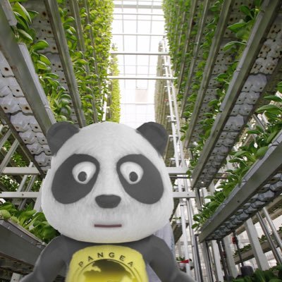 A global non profit that builds state of the art vertical farms systems to feed the less fortunate around the world.