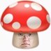 champignon papi (@jenniplease) Twitter profile photo