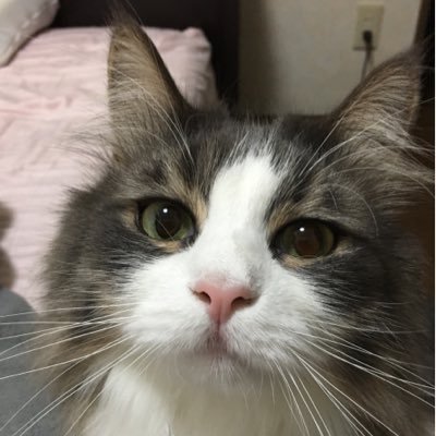 LiaBodydesign's profile picture. どんなことも楽しくなければ続きませんよね！  楽しみながら一緒に頑張りましょう。