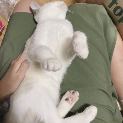 グラブル/FGO/OW/FF14/Apex
低浮上だけど生きてます。よろしくお願いします( ˙꒳˙ )v F/R/Bご自由にどうぞ!