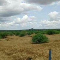 م سوداني خمس مشط (@ymeujkfebgrczzp) 's Twitter Profile