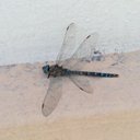 José Antonio Macías - @josea_macias - Twitter