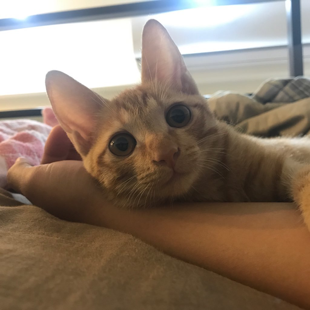 0x558BEC's profile picture. 