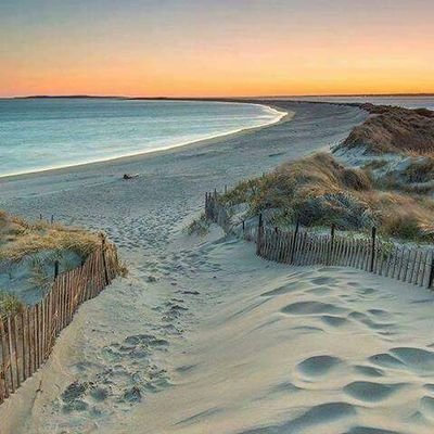 tazotatazota's profile picture. 