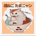 桃ねこかあちゃん (@QkQnsX4BFhAFaUk) Twitter profile photo