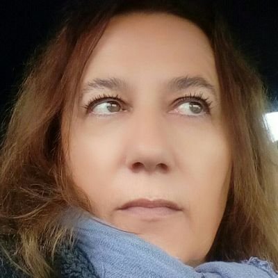 nevenabelic's profile picture. 