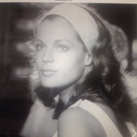 LesChosesDeLaVie (@birmane2011) 's Twitter Profile