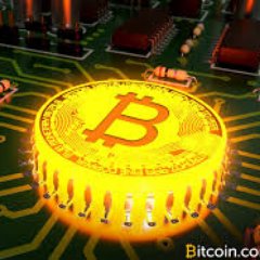 CryptoWhal3's profile picture. 