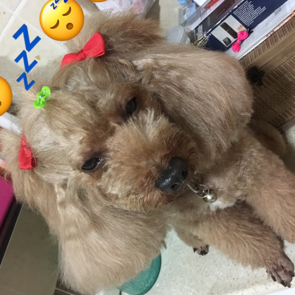 cutiemimi_ol's profile picture. 