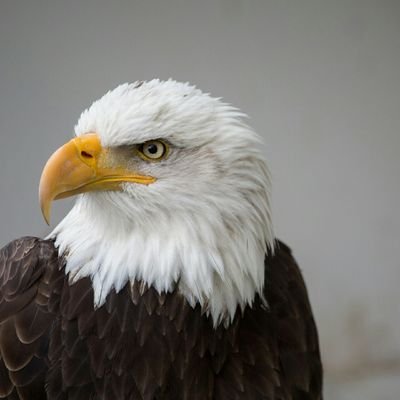 PiotrJanowski5's profile picture. ✌️🇪🇺🇵🇱🇪🇺🏳️‍🌈🇪🇺✌️