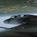 Acm Warbirds (@acmwarbirds) Twitter profile photo Acm Warbirds (@acmwarbirds) Twitter profile photo