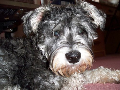 Shadowboxes20's profile picture. 