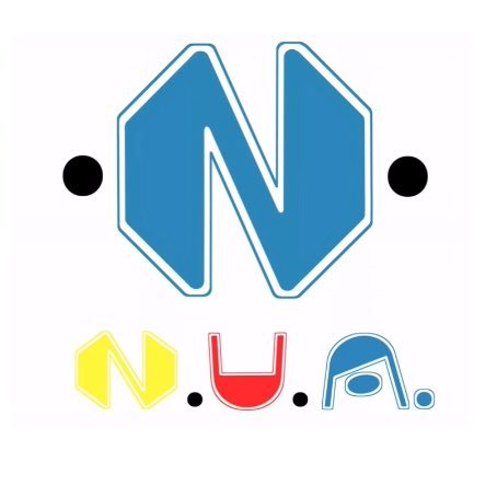 N.U.A.(にゅあ)さんのプロフィール画像